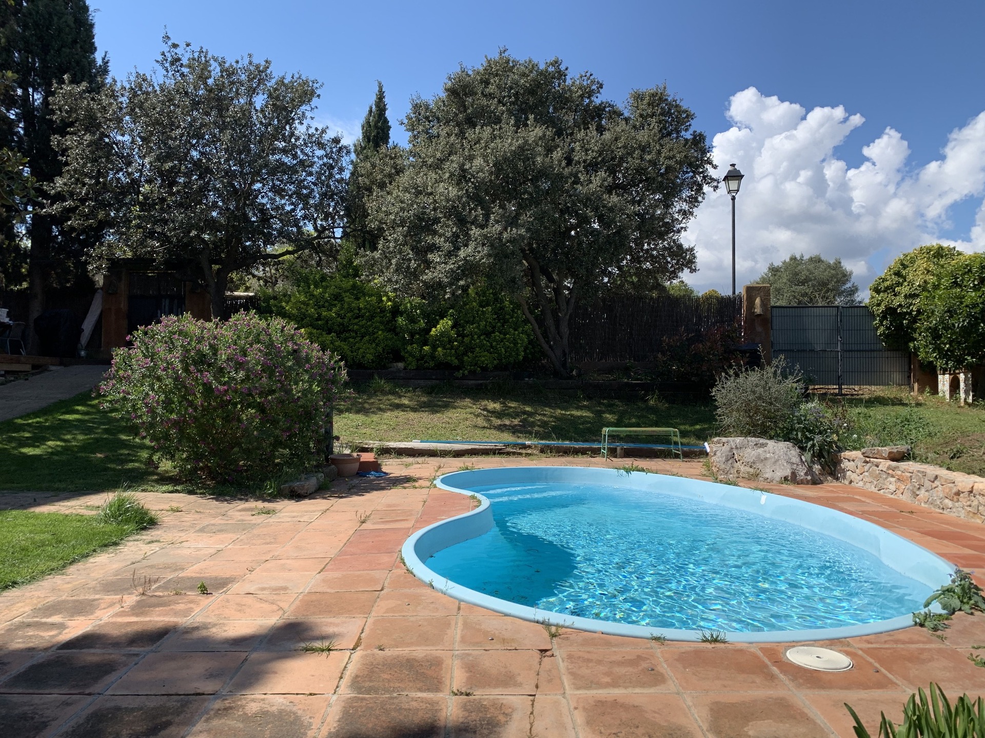 Garden and Pool