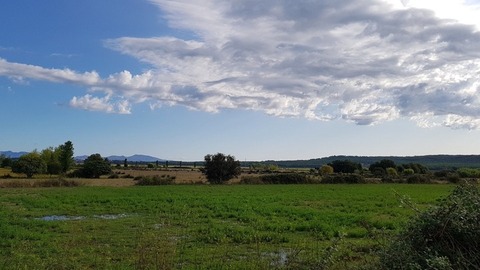 Hiking trails and nature at Montgrí Natural Park